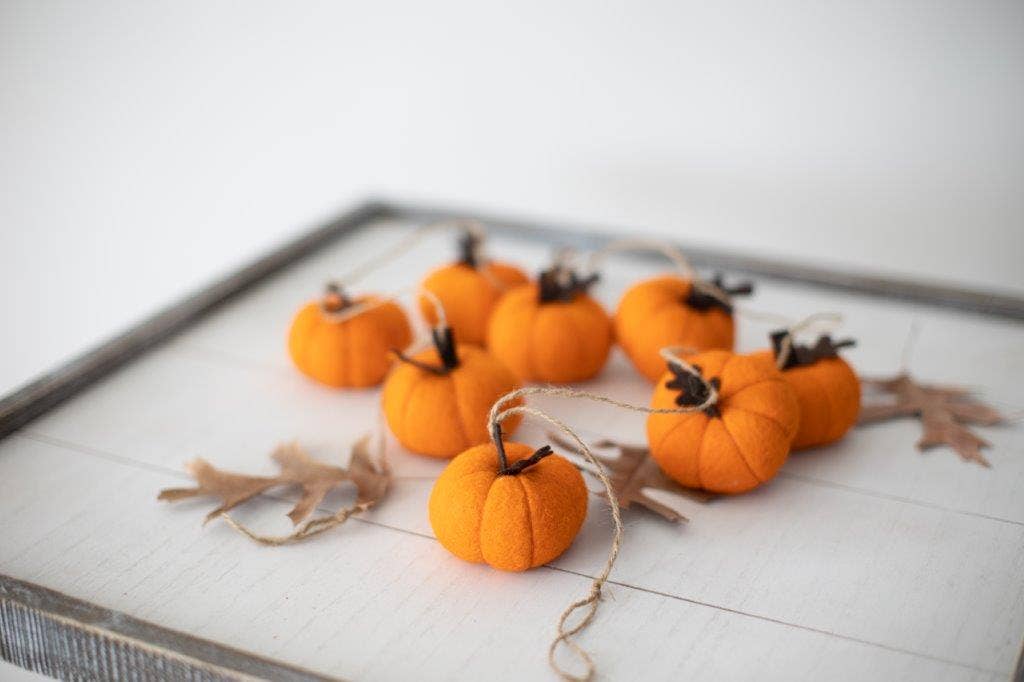 Pumpkin Garland (Orange)