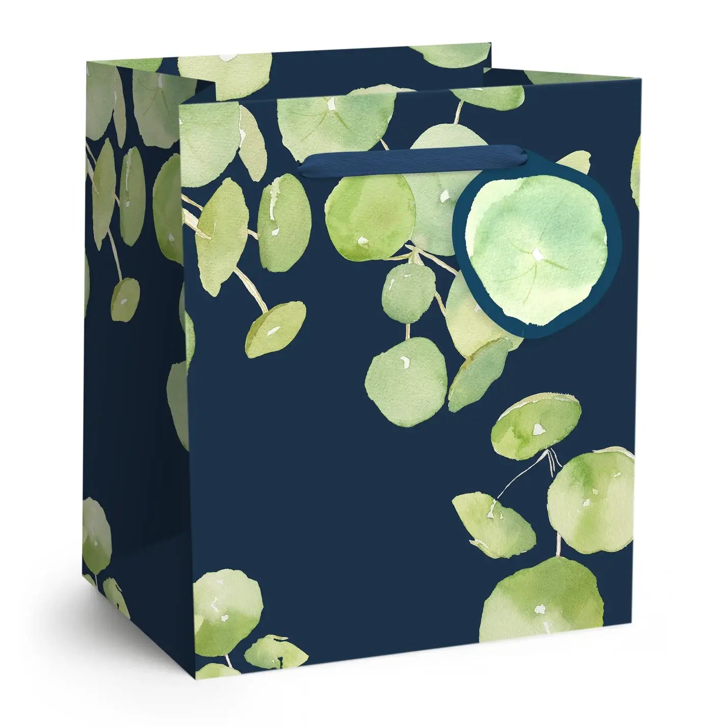 Blue Plant Gift Bag