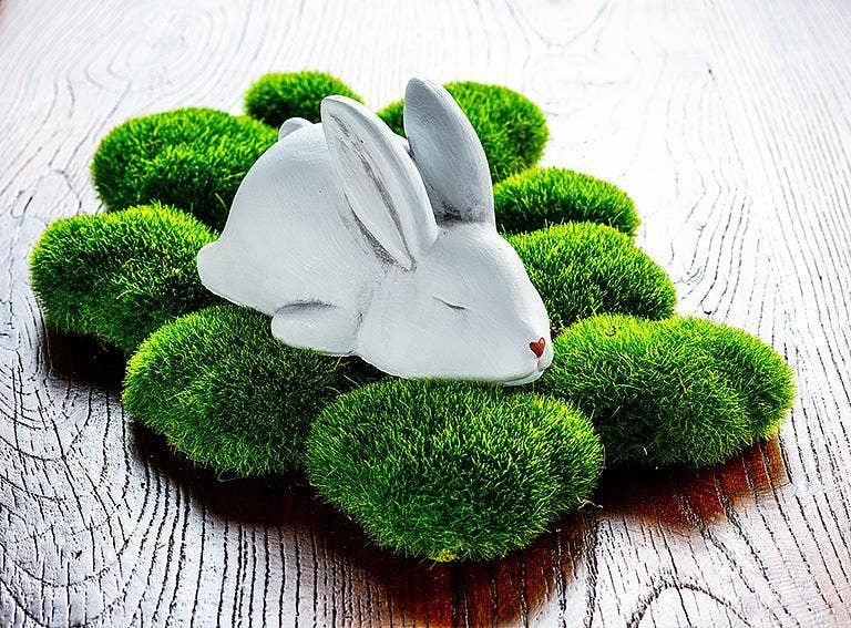 Sleeping Bunny