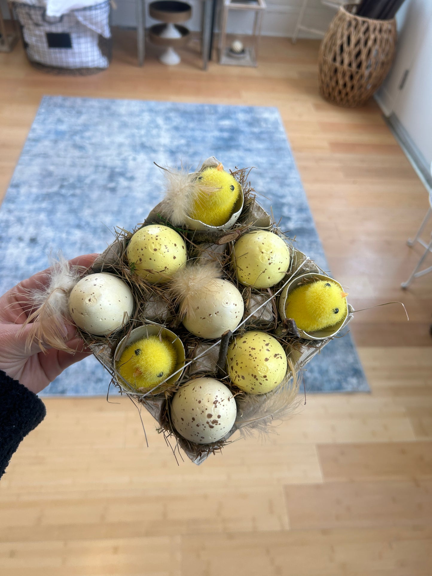 Chick Egg Carton