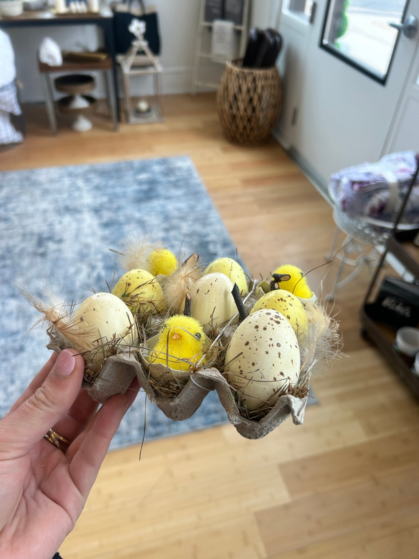 Chick Egg Carton