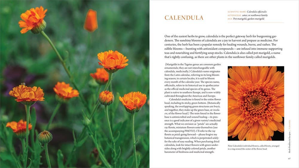 Healing Garden Book