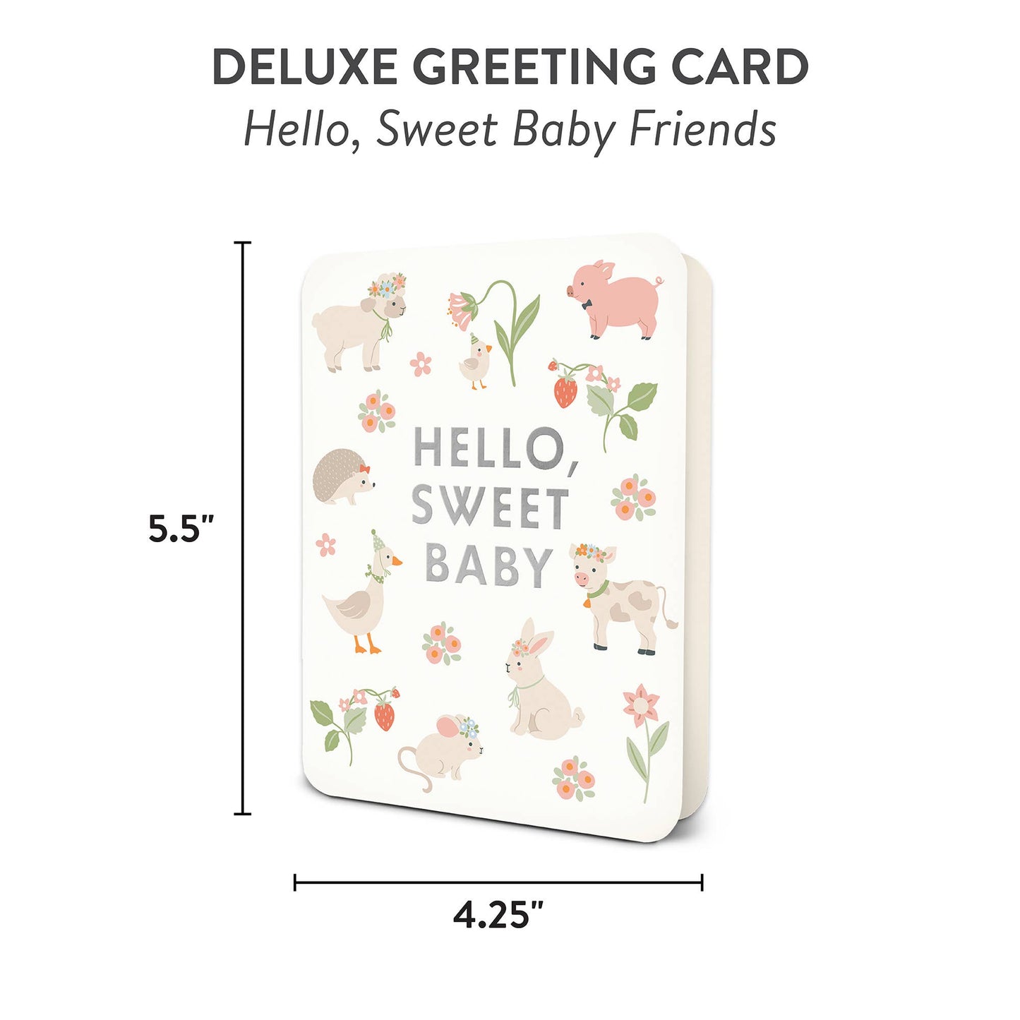 Hello, Baby Card