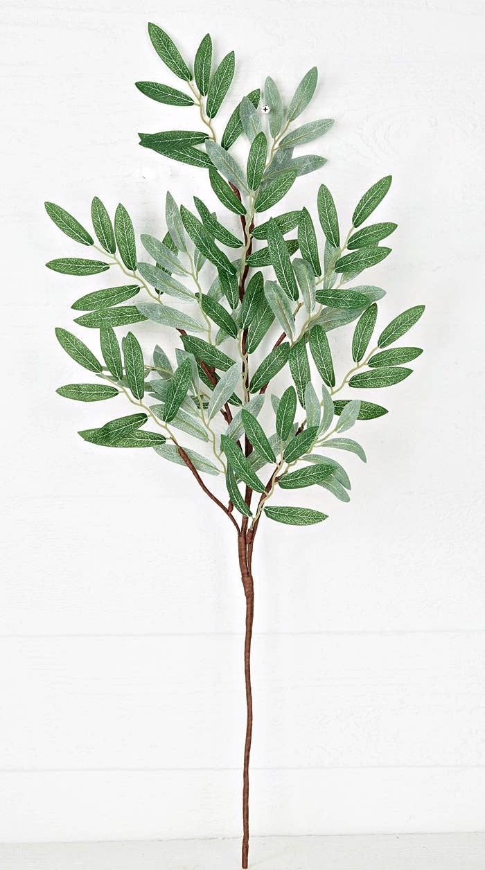 Olive Leaves Branch
