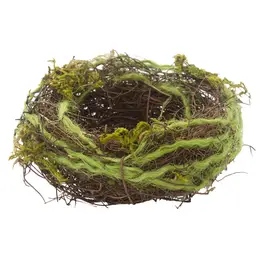 Mossy Bird Nest