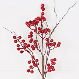 Floral 19in Pick-Red Ash Berries with wispy twigs
