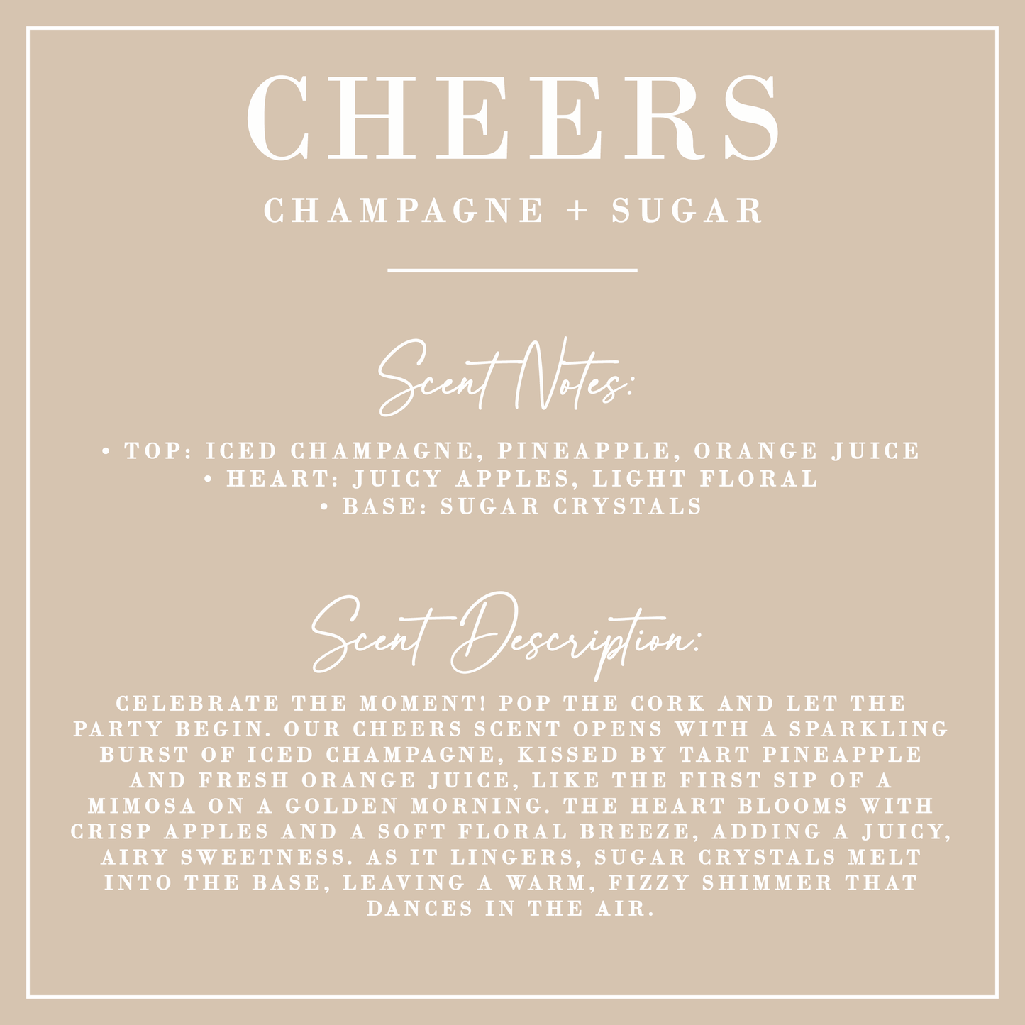 Champagne + Sugar Fluted Coconut Wax Candle