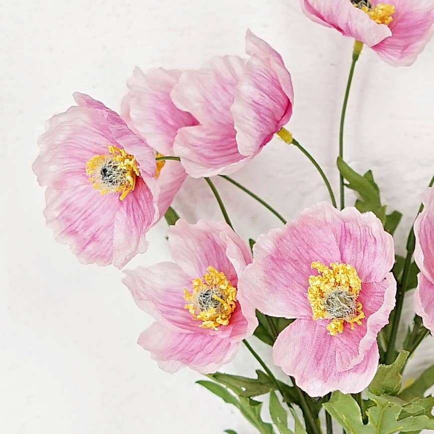 Wrinkle Poppy Pink