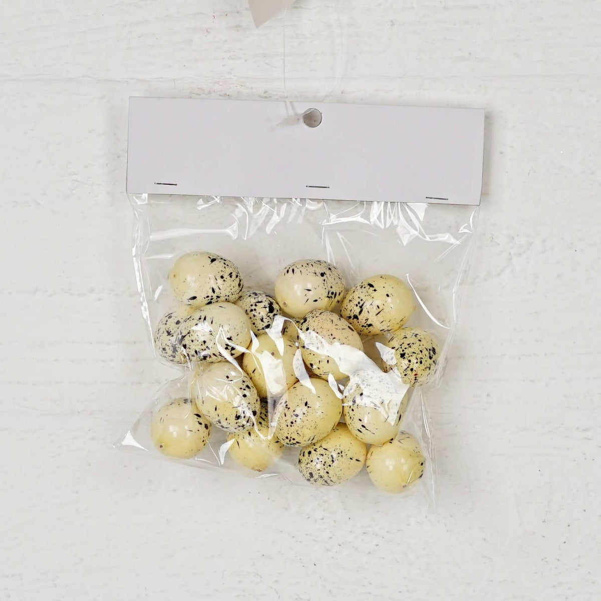 Bird Eggs