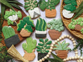 Succulently Cookies Puzzle
