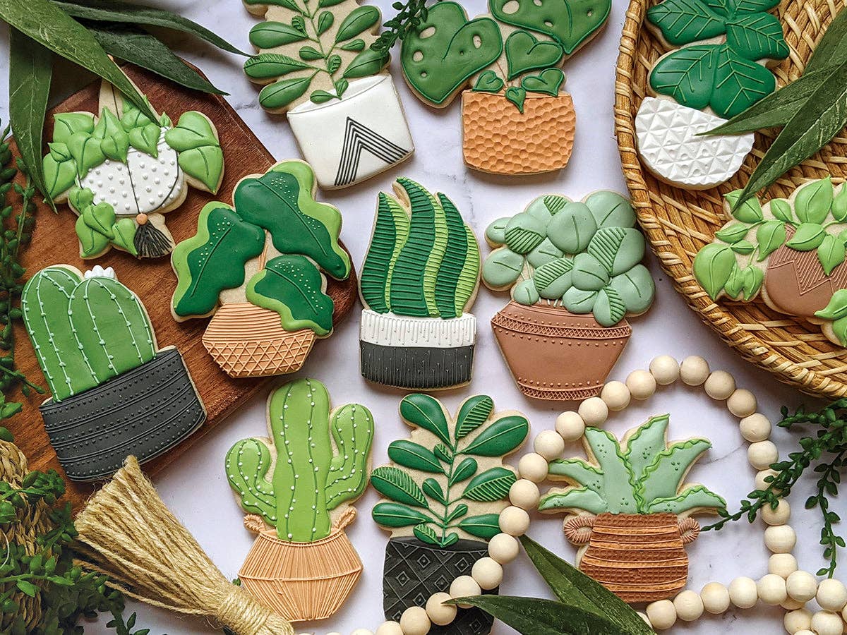 Succulently Cookies Puzzle