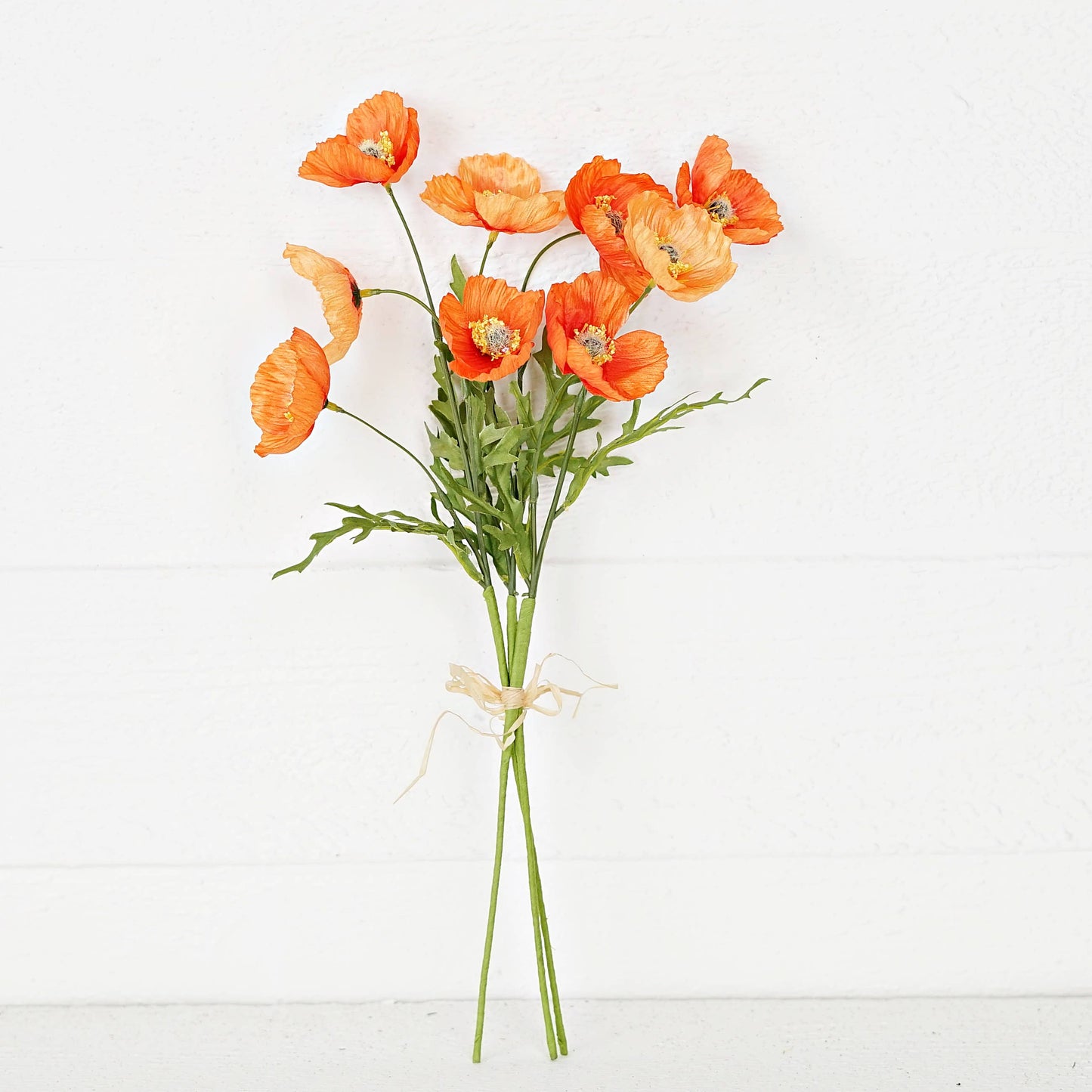Poppy Bush Orange