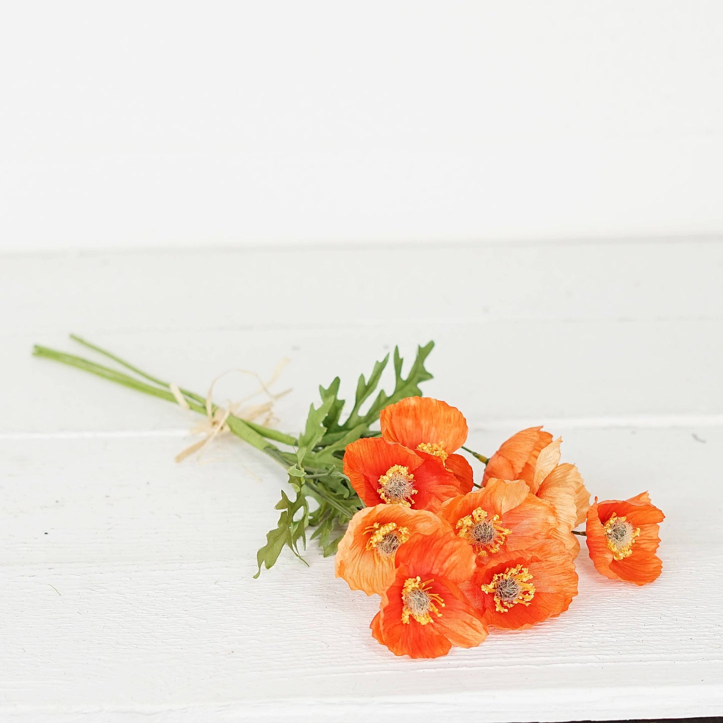 Poppy Bush Orange