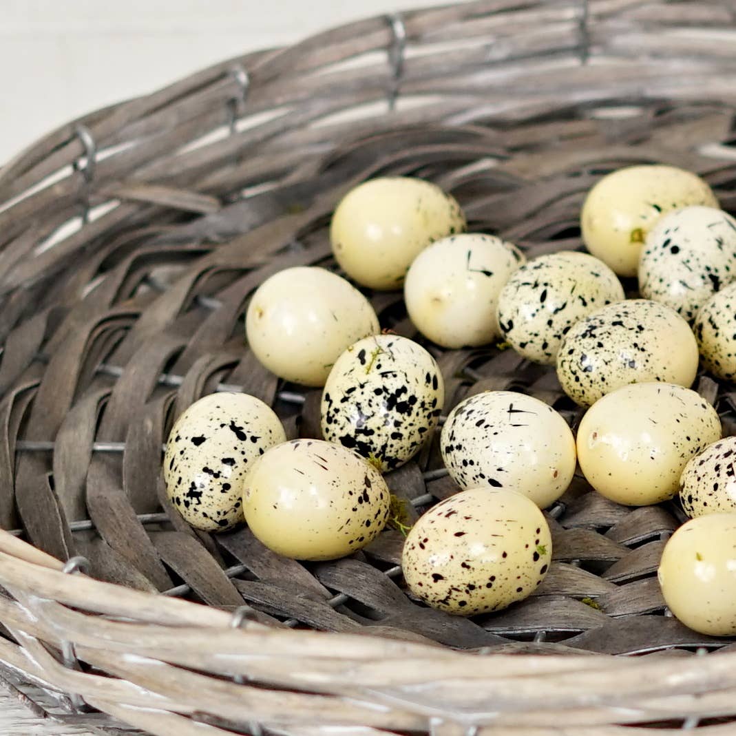 Bird Eggs