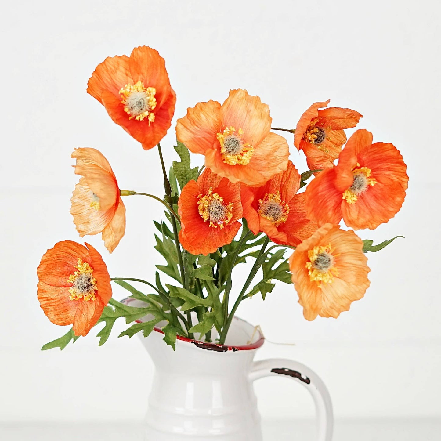 Poppy Bush Orange