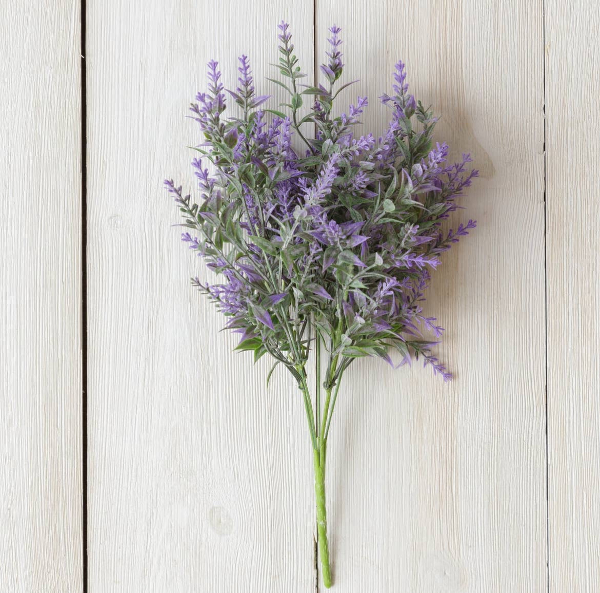 Lavendar