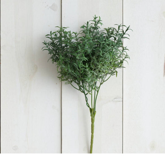 Pick - Thyme