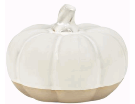 Pumpkin White Large