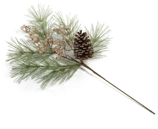 Pine tree branch