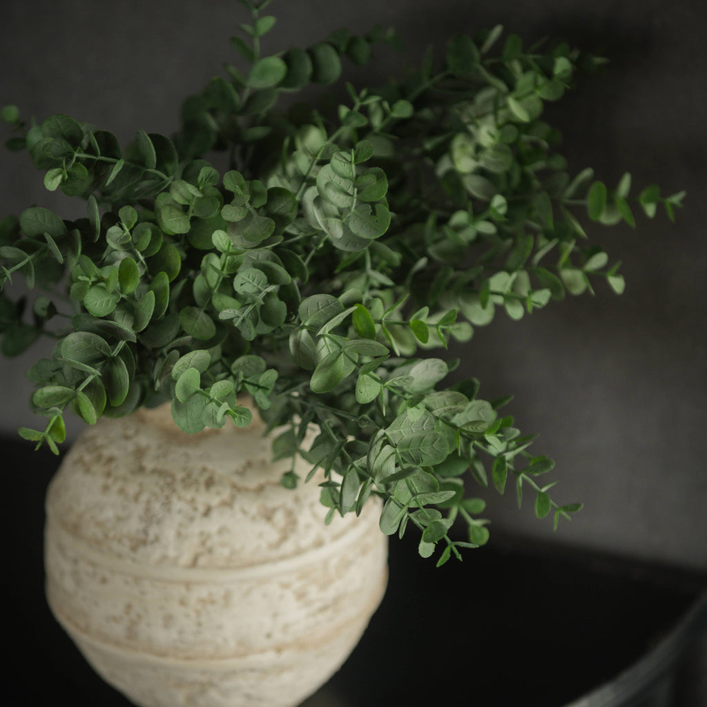 Eucalyptus
