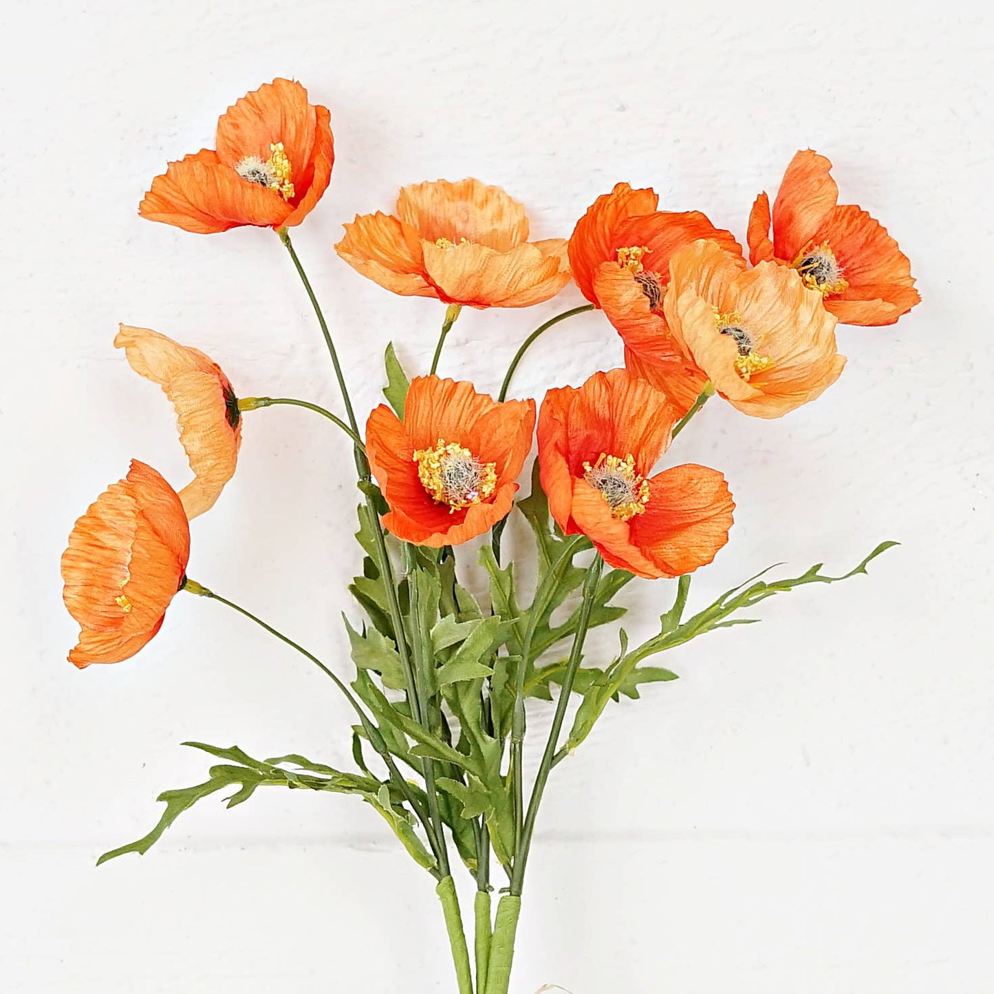 Poppy Bush Orange