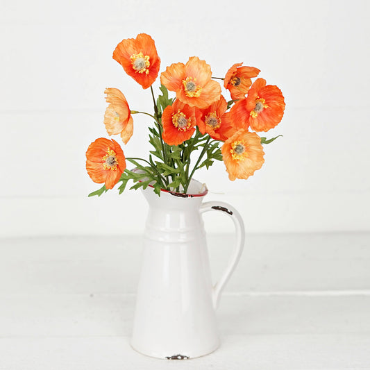 Poppy Bush Orange