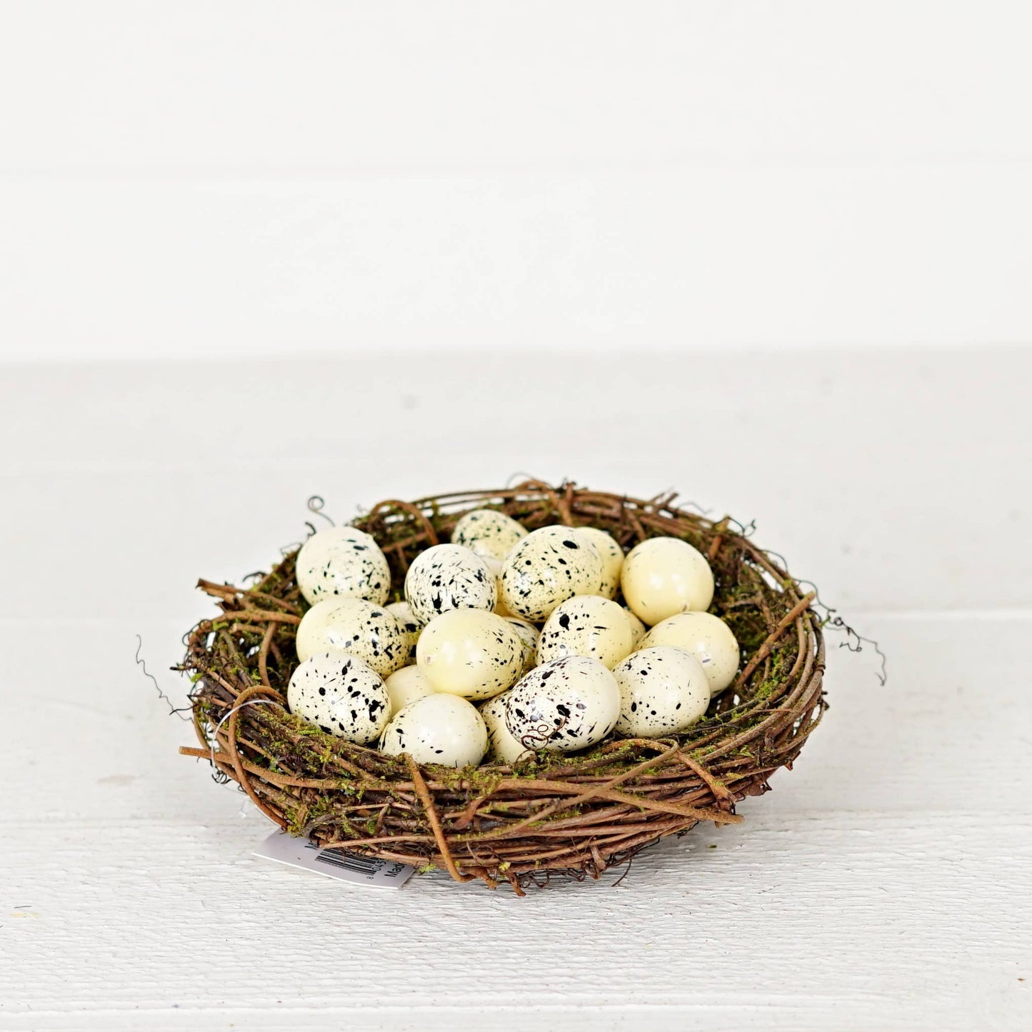Bird Eggs